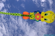 RIMINI 2012 - 209